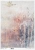 kwiaty polne, trawy, akwarela*field flowers, grasses, watercolour*Feldblumen, Gräser, Aquarell*flores de campo, hierbas, acuarela